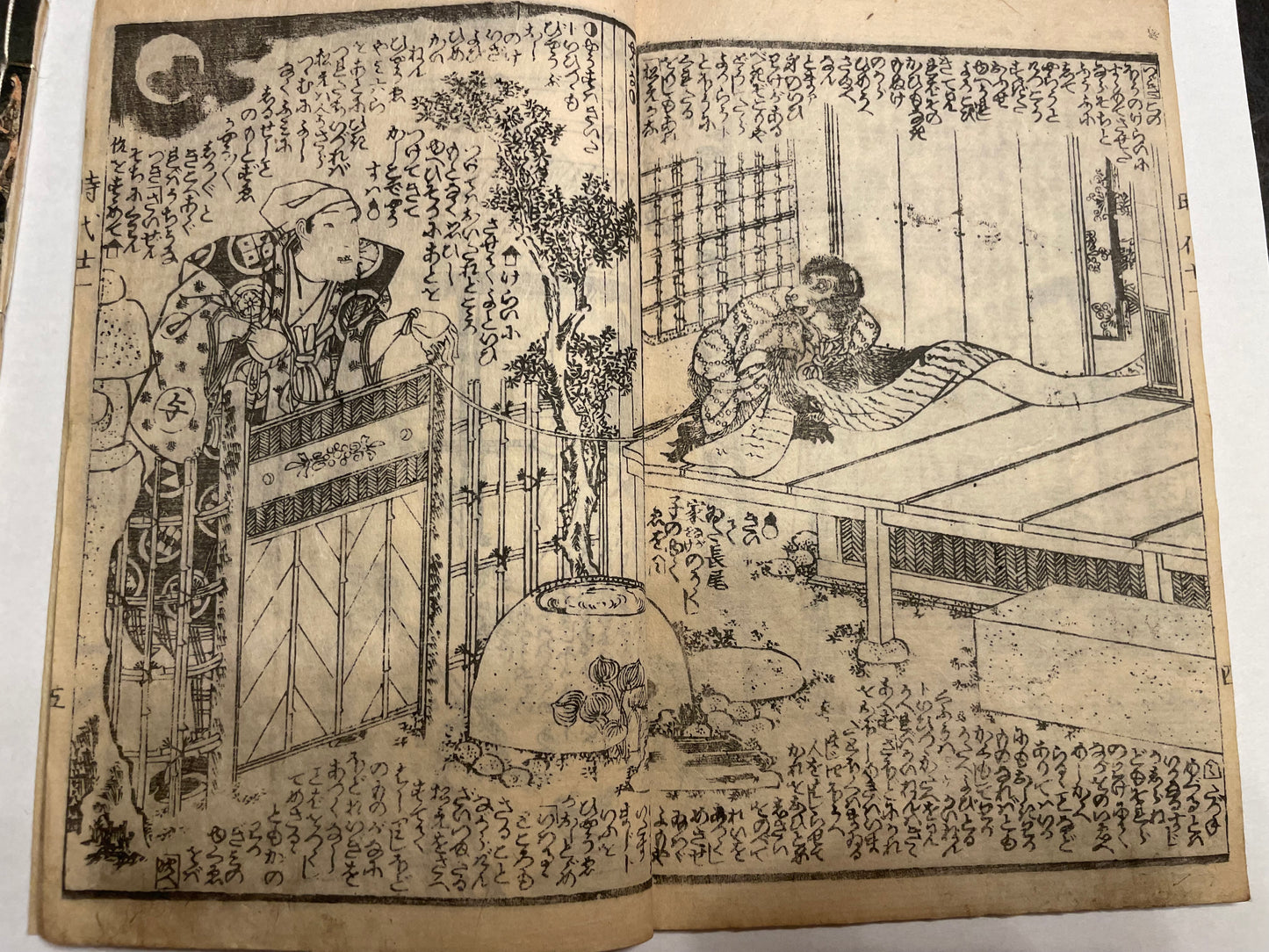 1860s 2 Book set "Mirror of Earthquakes" 地震鏡 Illustrated by Utagawa Kunisada III (Toyokuni)