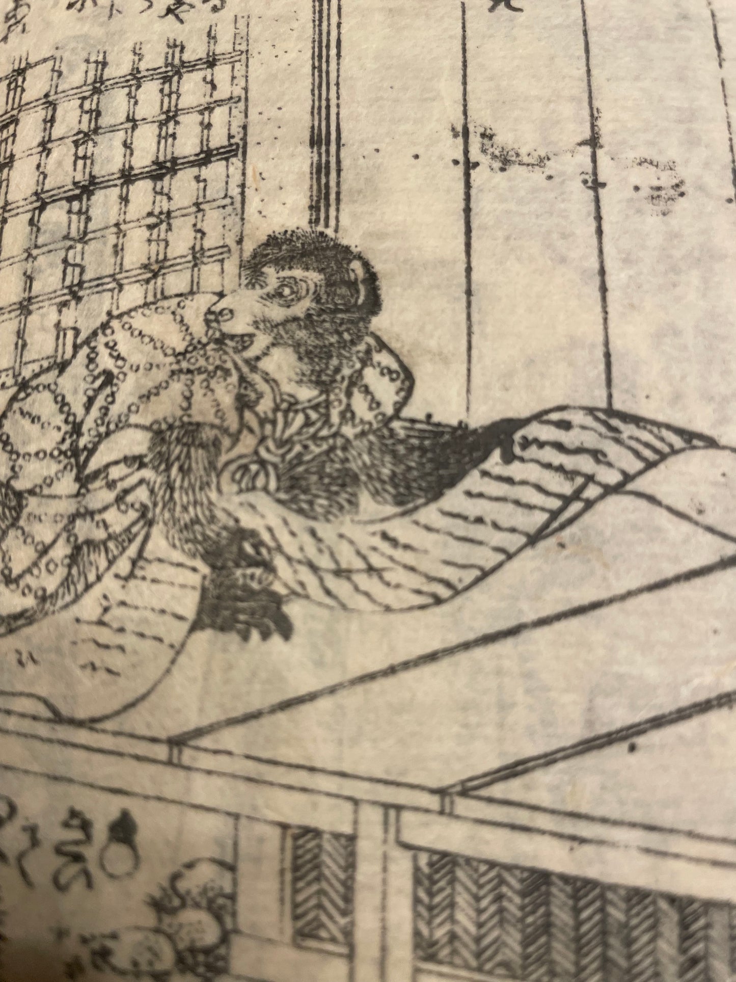 1860s 2 Book set "Mirror of Earthquakes" 地震鏡 Illustrated by Utagawa Kunisada III (Toyokuni)