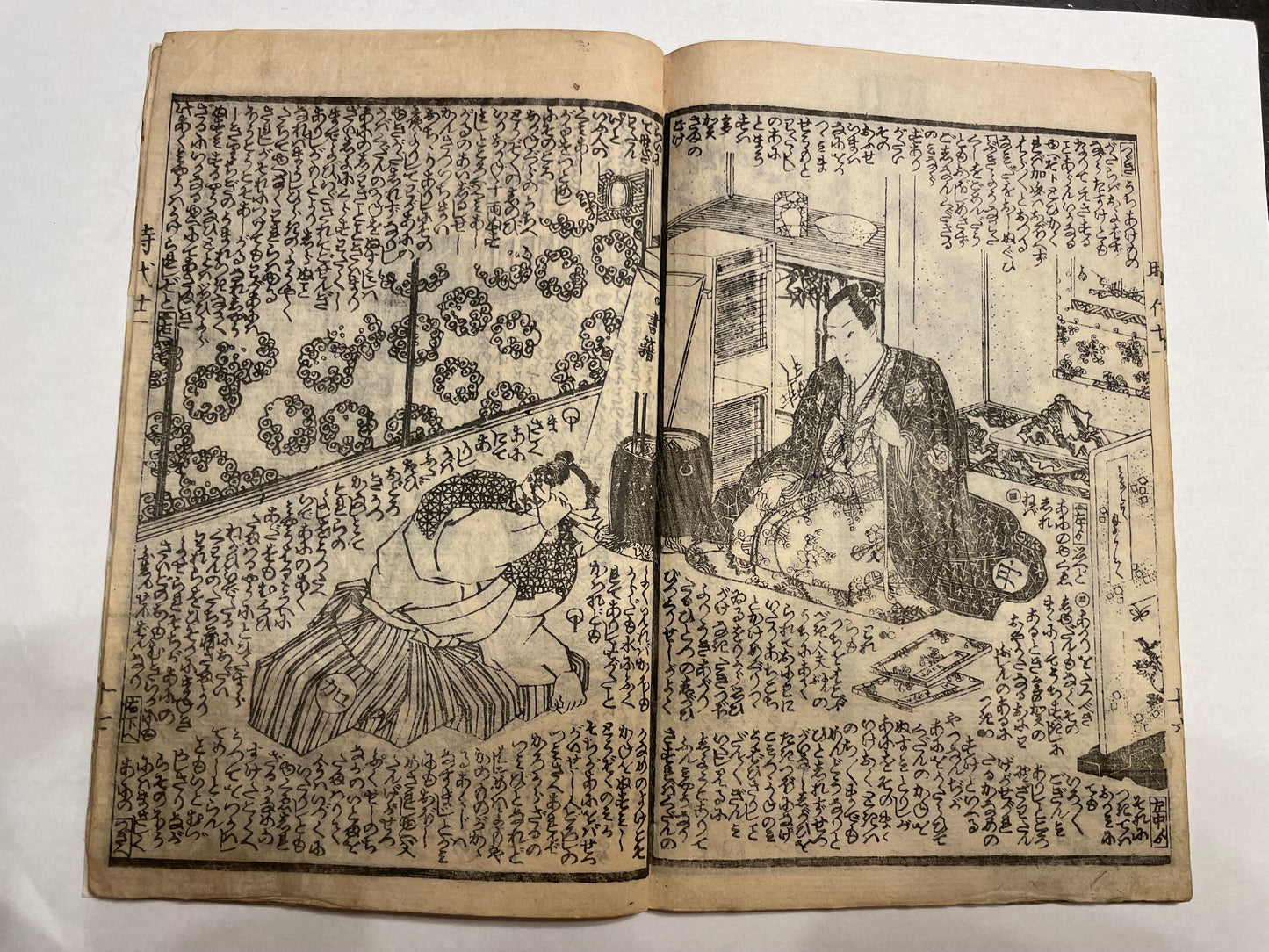 1860s 2 Book set "Mirror of Earthquakes" 地震鏡 Illustrated by Utagawa Kunisada III (Toyokuni)