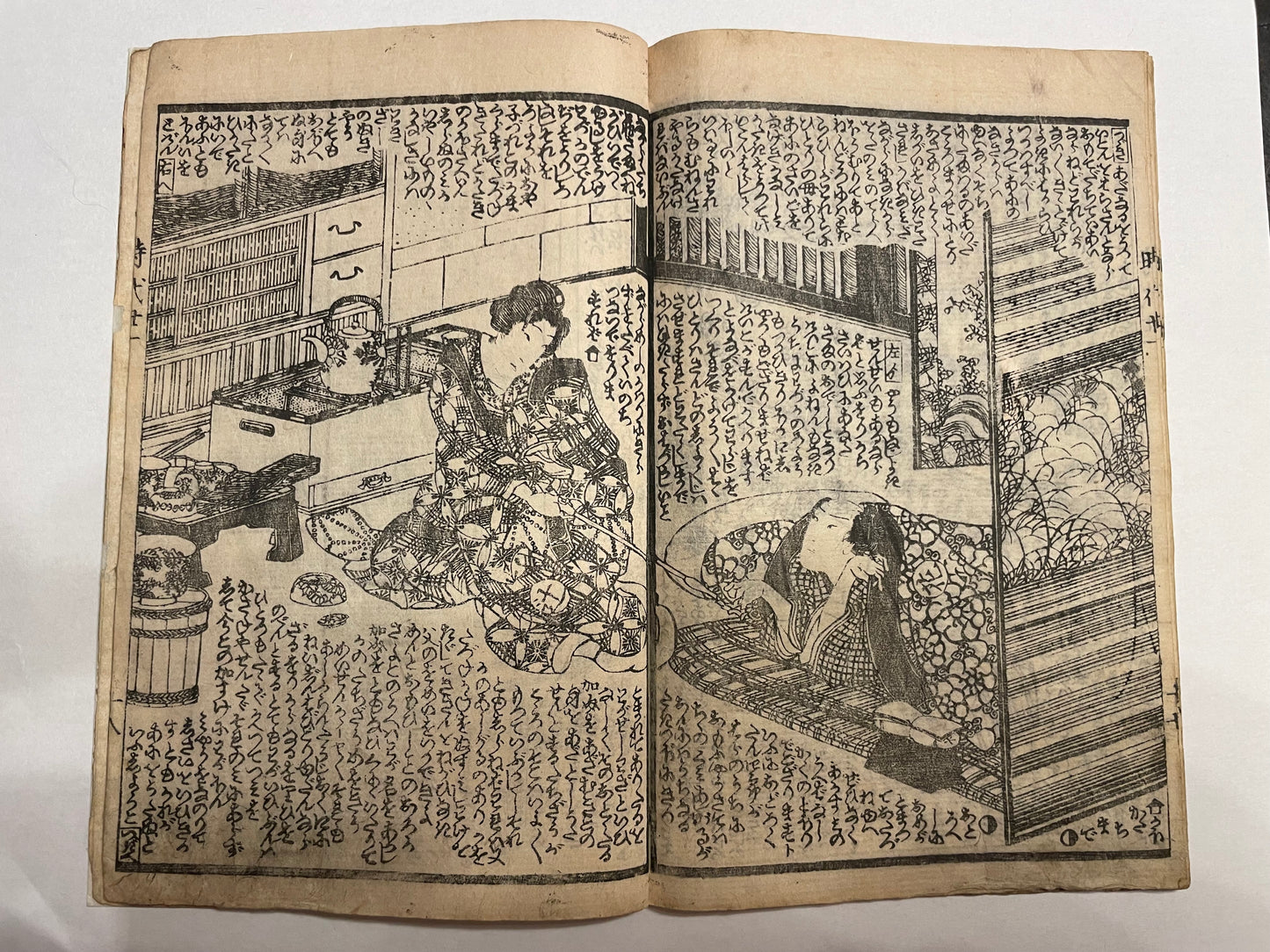 1860s 2 Book set "Mirror of Earthquakes" 地震鏡 Illustrated by Utagawa Kunisada III (Toyokuni)