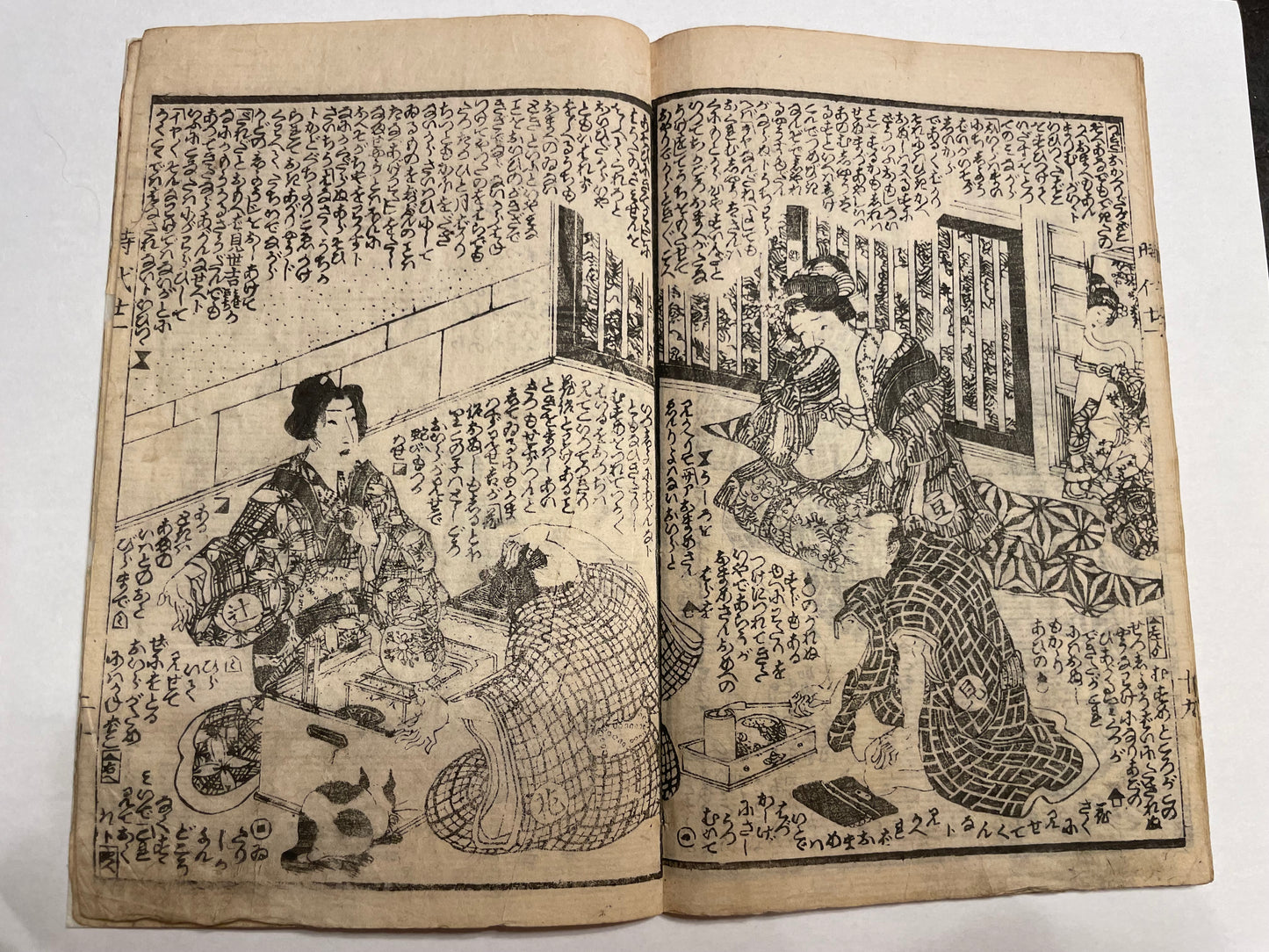 1860s 2 Book set "Mirror of Earthquakes" 地震鏡 Illustrated by Utagawa Kunisada III (Toyokuni)