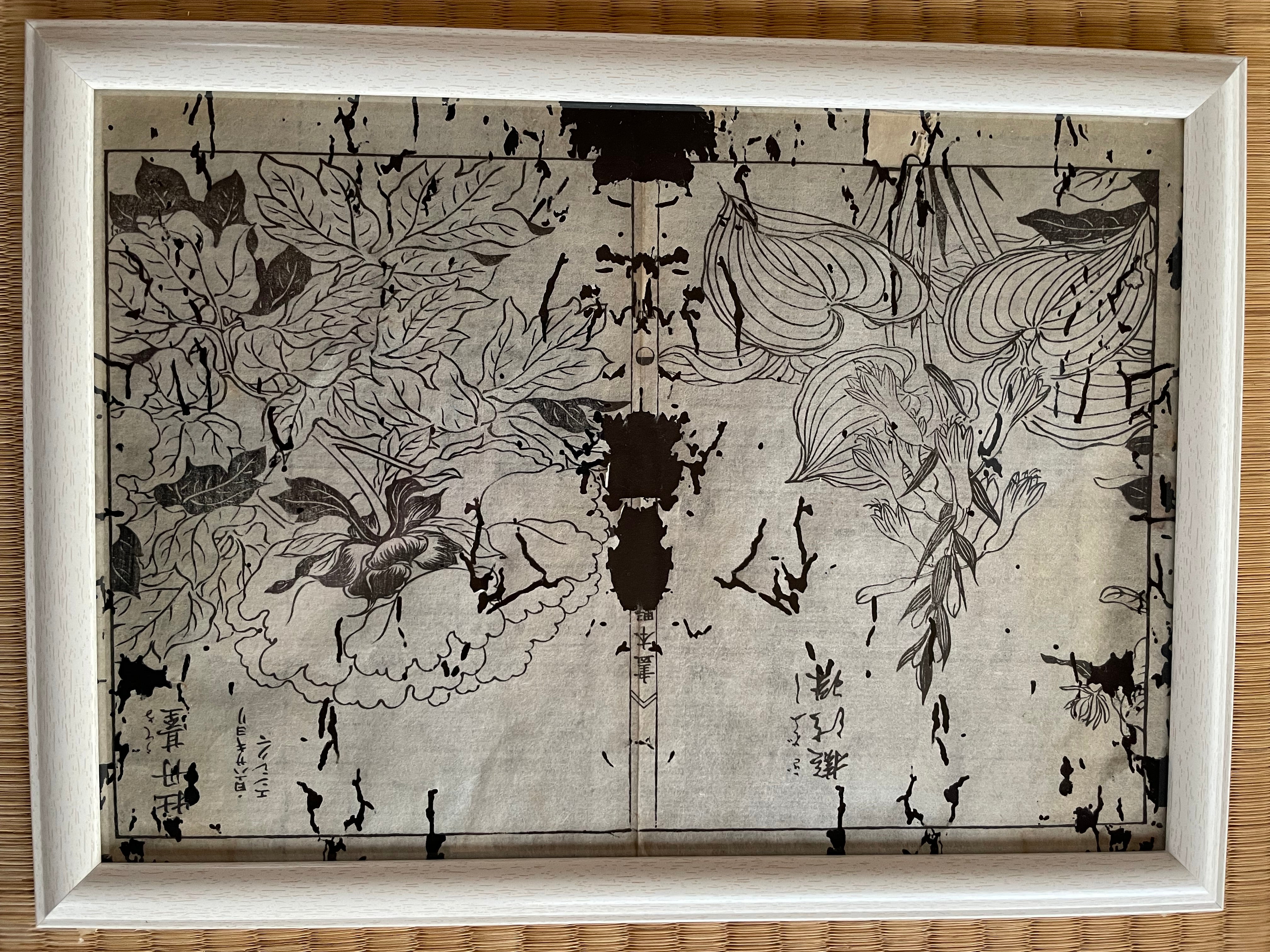 1755 Tachibana Yasunori Botanical Medical Print 本草図 (Approx. 30