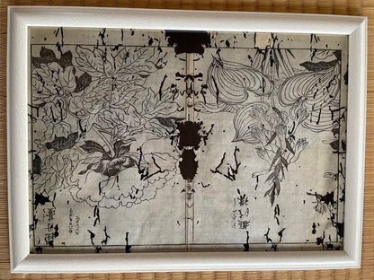 1755 Tachibana Yasunori Botanical Medical Print 本草図 (Approx. 30 x 20 cm)
