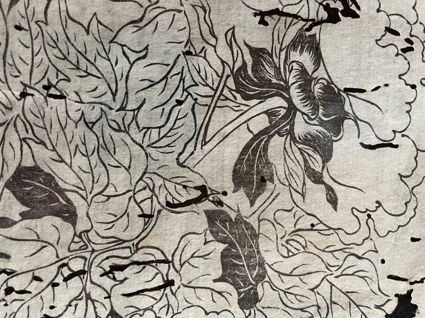 1755 Tachibana Yasunori Botanical Medical Print 本草図 (Approx. 30 x 20 cm)
