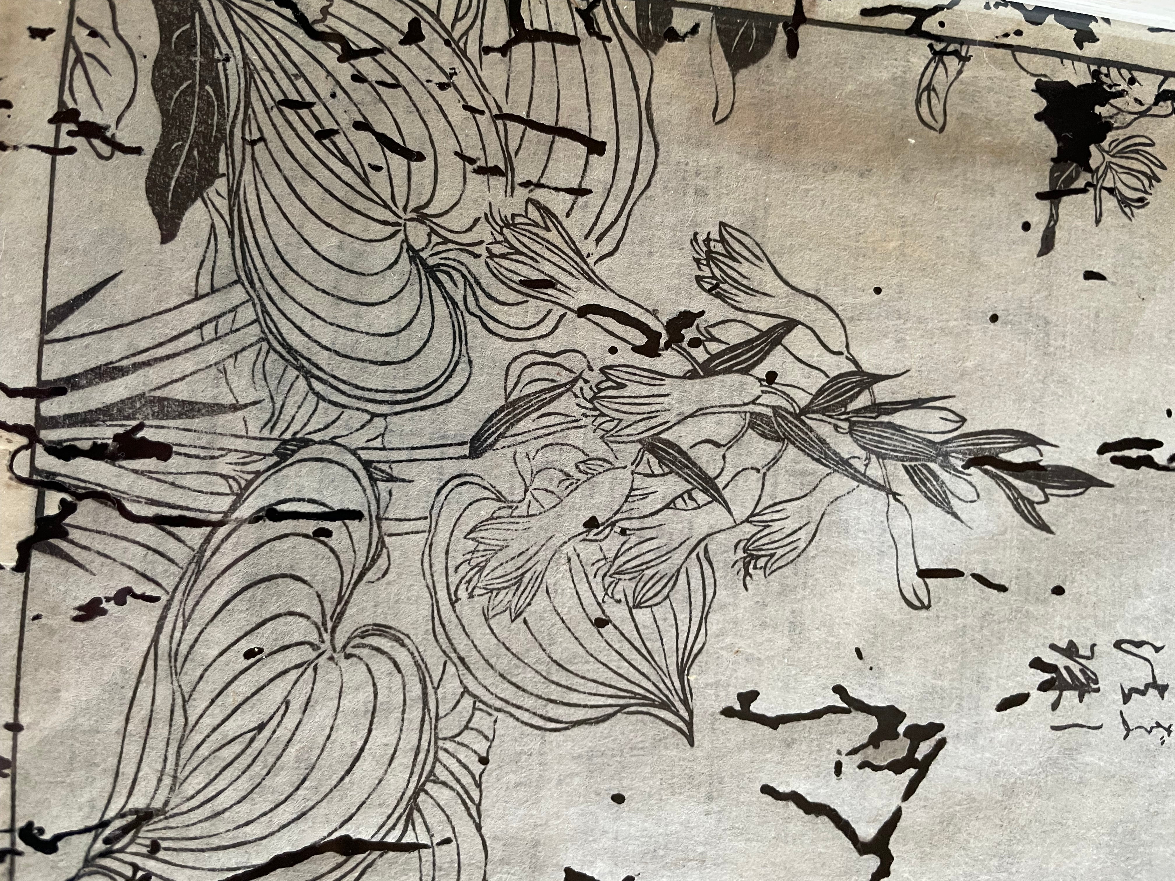 1755 Tachibana Yasunori Botanical Medical Print 本草図 (Approx. 30