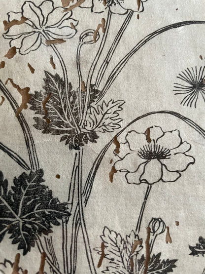 1755 Tachibana Yasunori Botanical Medical Print 本草図