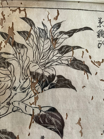 1755 Tachibana Yasunori Botanical Medical Print 本草図