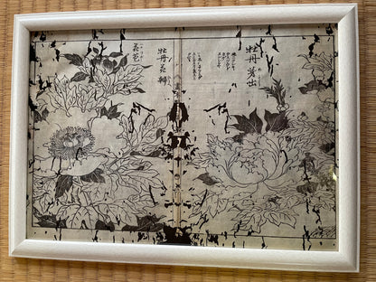 1755 Tachibana Yasunori Botanical Medical Print 本草図