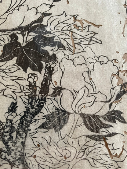 1755 Tachibana Yasunori Botanical Medical Print 本草図