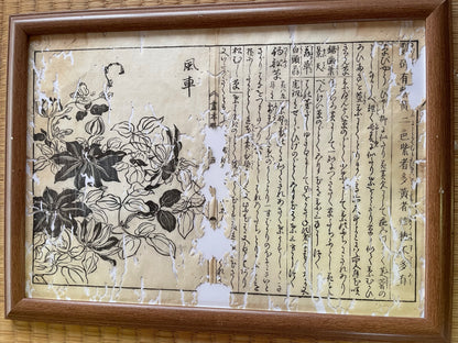1755 Tachibana Yasunori Botanical Medical Print 本草図