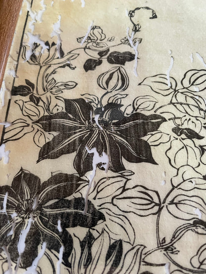 1755 Tachibana Yasunori Botanical Medical Print 本草図