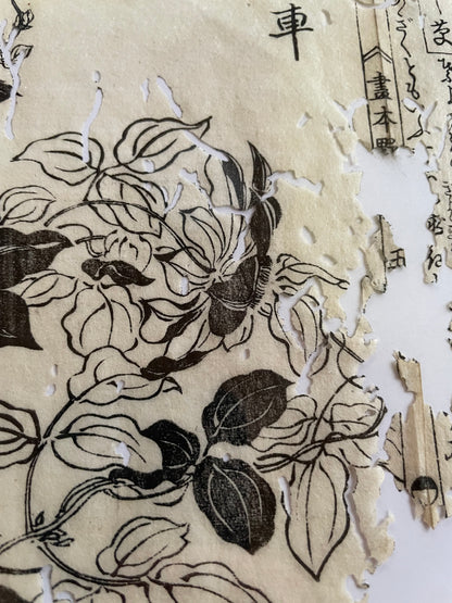 1755 Tachibana Yasunori Botanical Medical Print 本草図