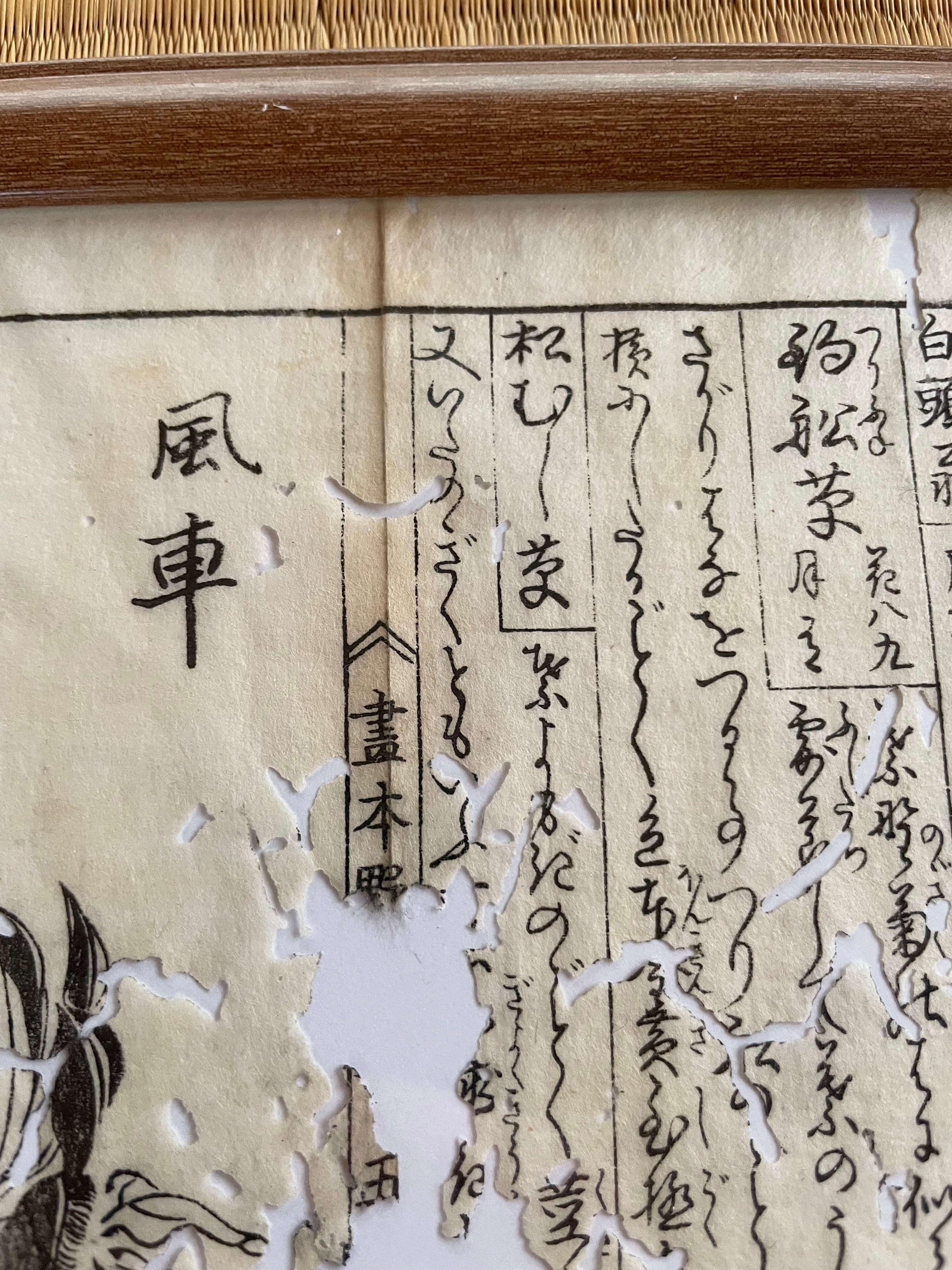 1755 Tachibana Yasunori Botanical Medical Print 本草図 – Echoes of Edo
