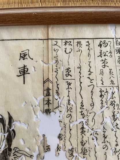 1755 Tachibana Yasunori Botanical Medical Print 本草図