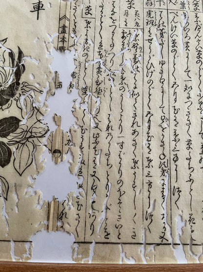 1755 Tachibana Yasunori Botanical Medical Print 本草図
