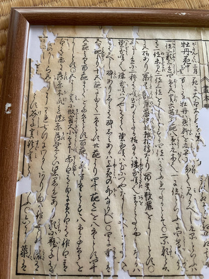 1755 Tachibana Yasunori Botanical Medical Print 本草図