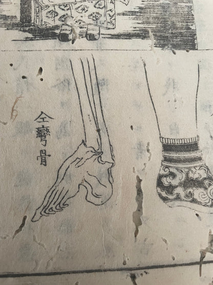 1874 Yochi Shiryaku 輿地誌畧 Illustrated Ethnographic Geography Book by Uchida Masao (18 x 26 cm)