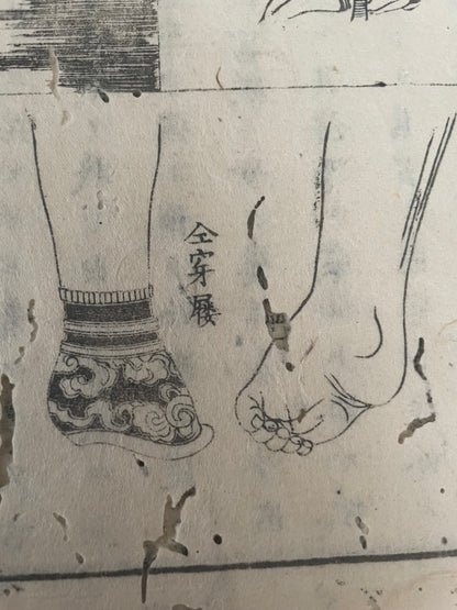 1874 Yochi Shiryaku 輿地誌畧 Illustrated Ethnographic Geography Book by Uchida Masao (18 x 26 cm)