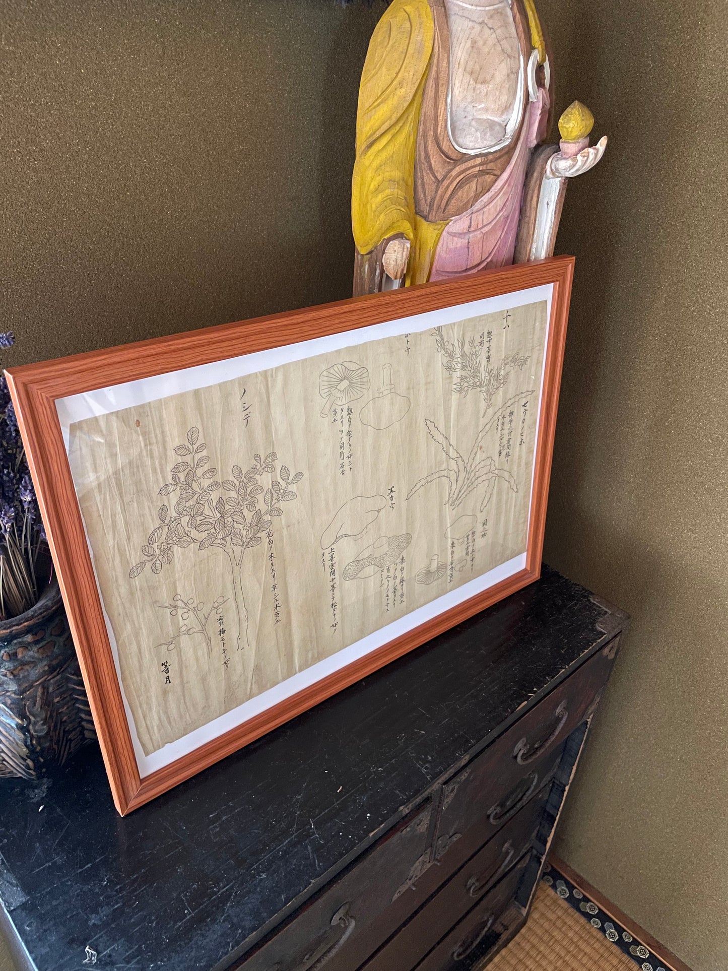 Edo Period Botanical Study by Asakura Shinryō 朝倉震陵 (Approx. 25.3 x 39.6 cm) in an A3 Frame