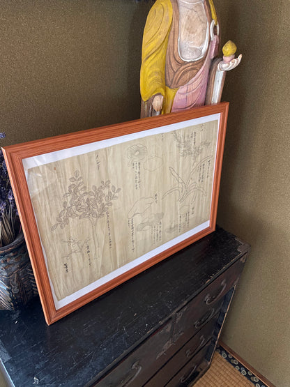 Edo Period Botanical Study by Asakura Shinryō 朝倉震陵 (Approx. 25.3 x 39.6 cm) in an A3 Frame