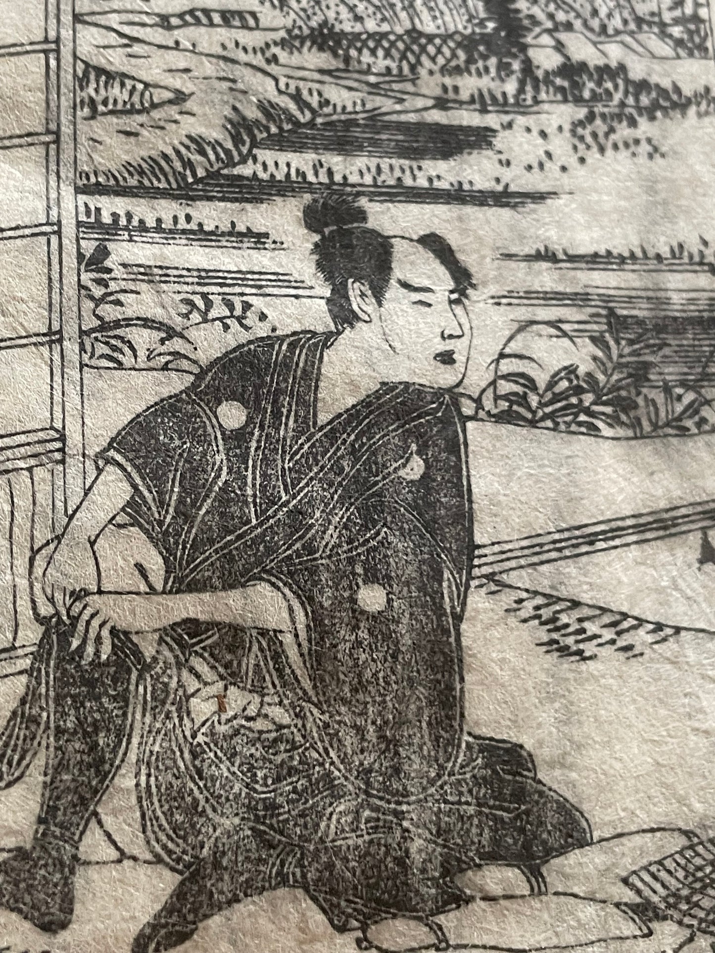 Edo 1808 Ehon Monogusa Tarō by Aikawa Minwa-Ukiyo-e Book