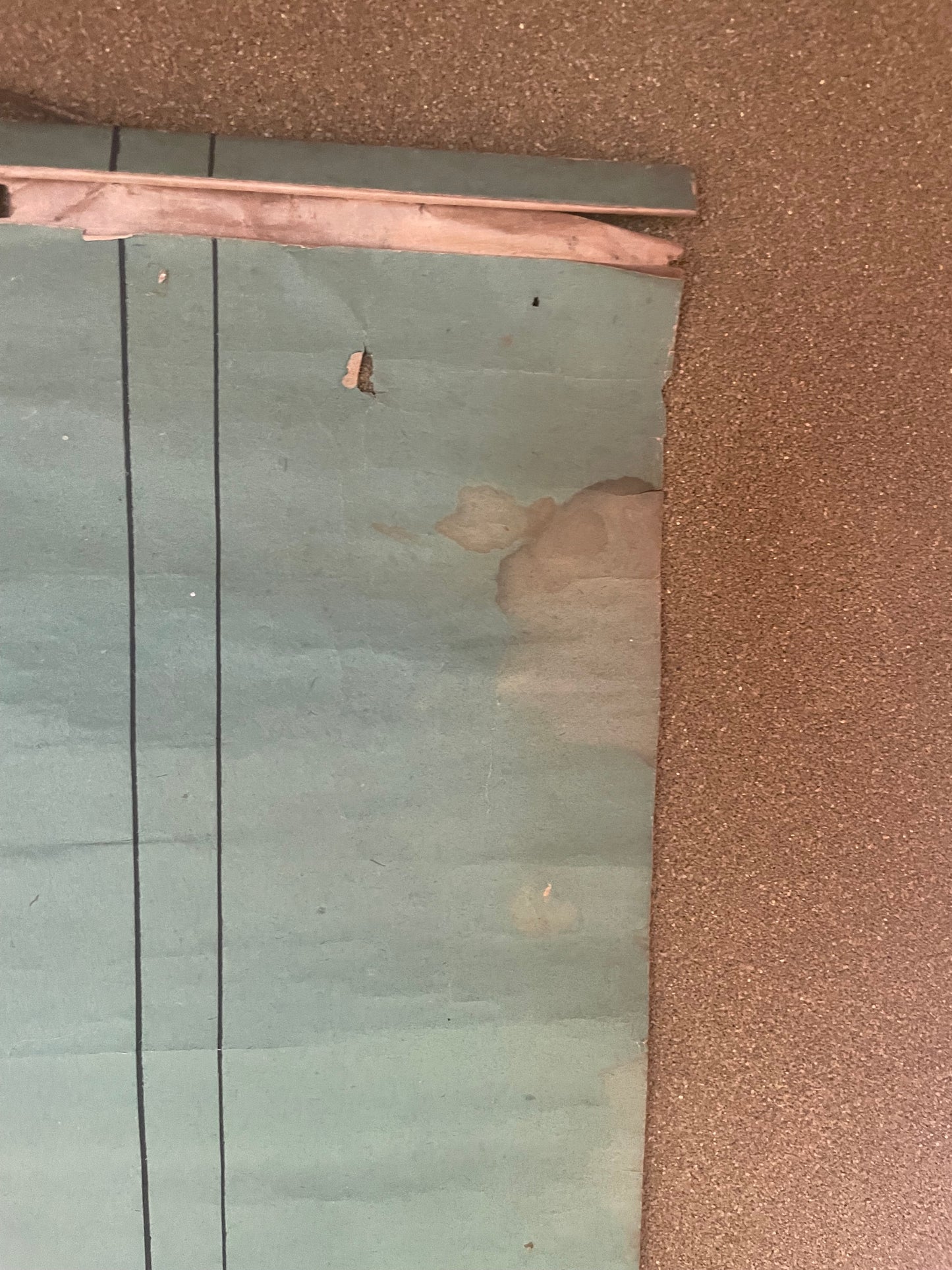 Edo 1815-50 Sumi-e Kakejku Emperor Kōrei Hanging Scroll by Kurozumi Munetada (Approximately 34X108CM)