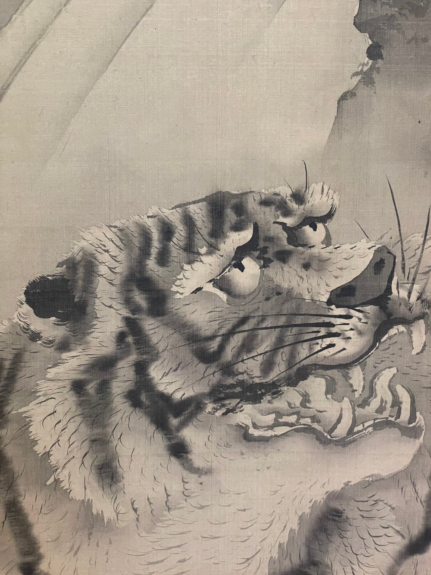 1890–1910 Kakejiku Tiger Beneath a Waterfall (瀑布猛虎図)  Signed 澄◯斎 (Approximately 172X43CM)