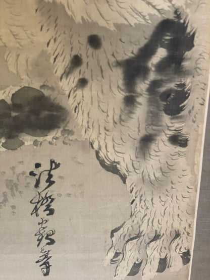 1890–1910 Kakejiku Tiger Beneath a Waterfall (瀑布猛虎図)  Signed 澄◯斎 (Approximately 172X43CM)