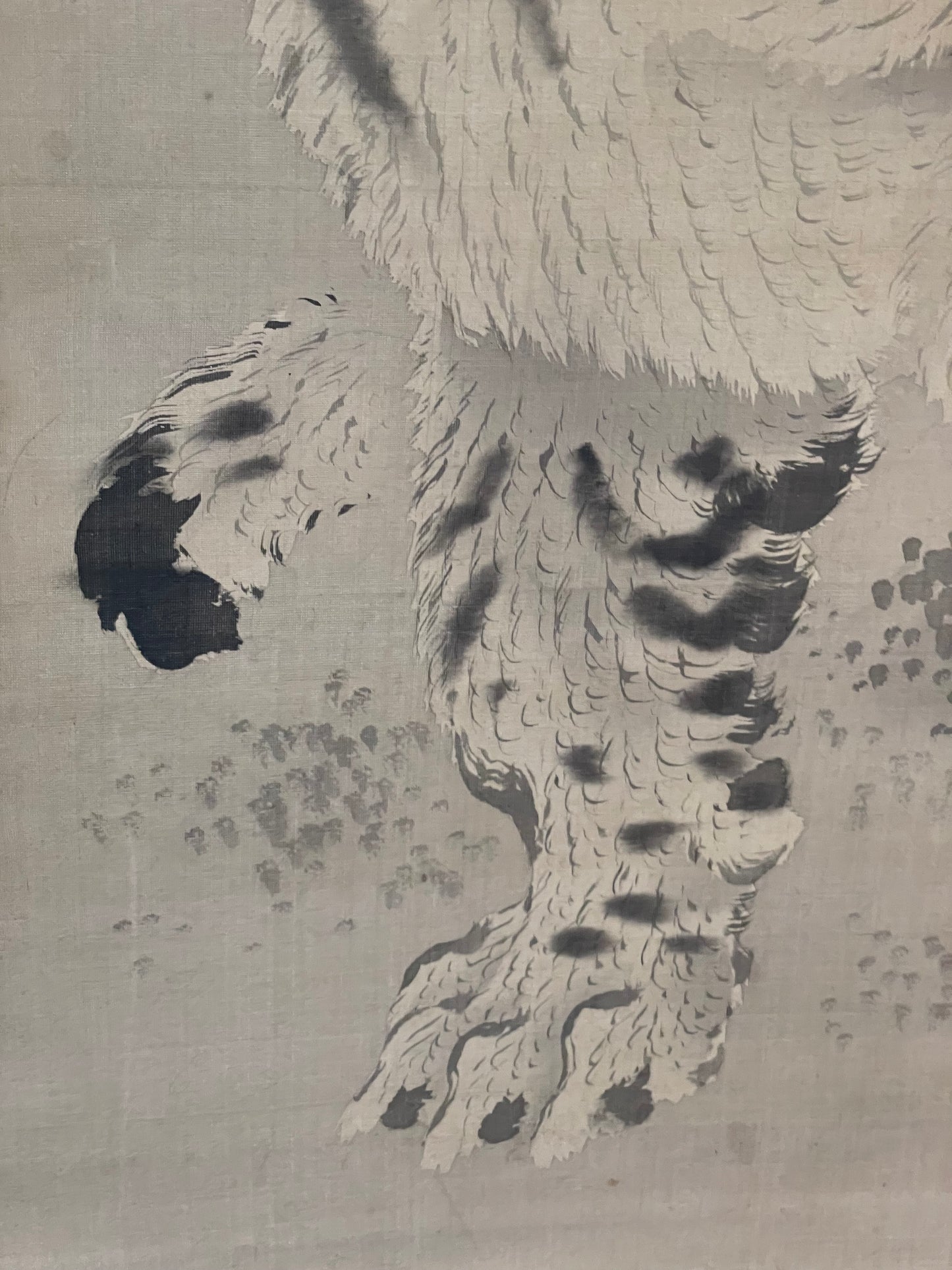 1890–1910 Kakejiku Tiger Beneath a Waterfall (瀑布猛虎図)  Signed 澄◯斎 (Approximately 172X43CM)