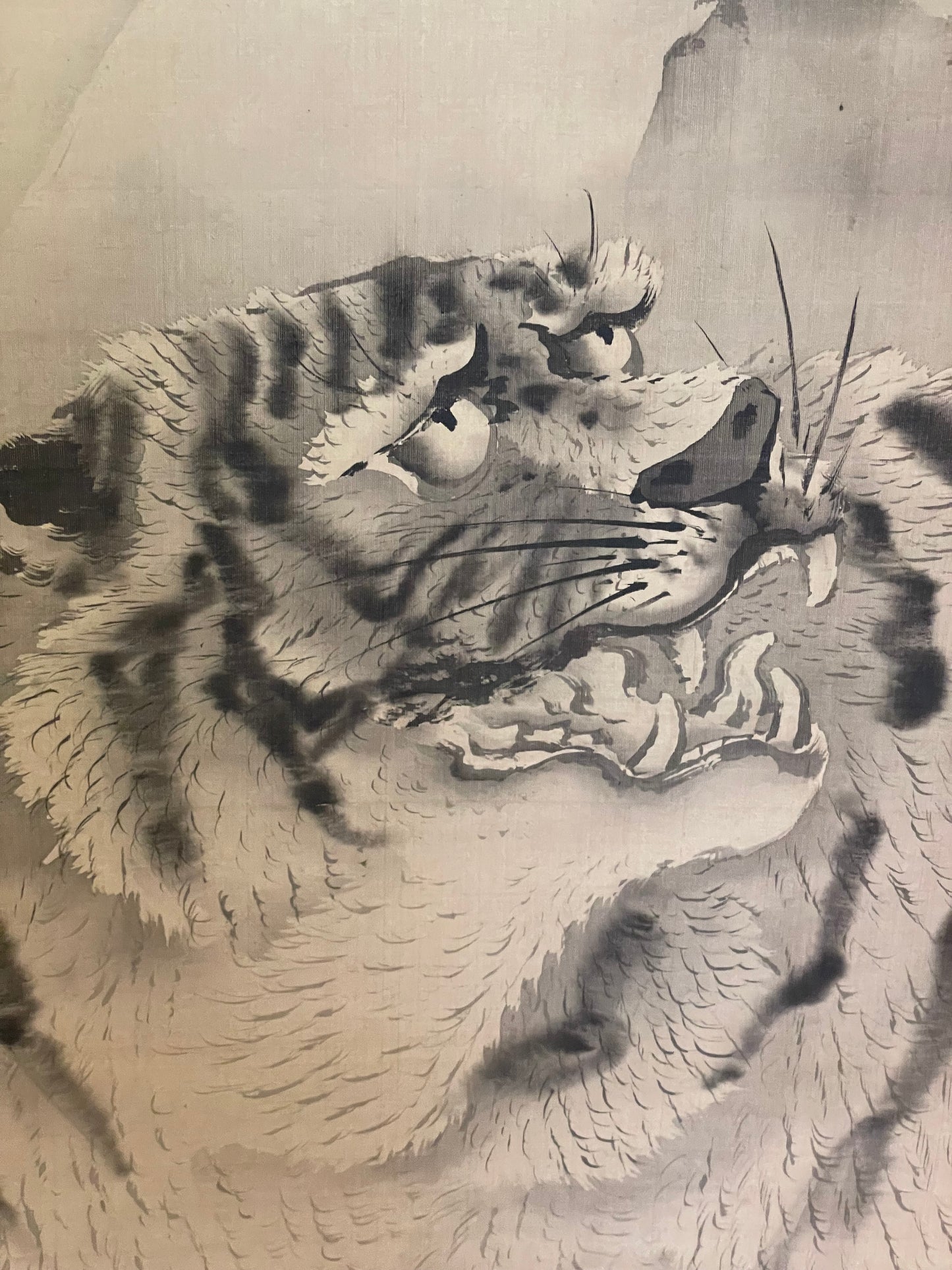 1890–1910 Kakejiku Tiger Beneath a Waterfall (瀑布猛虎図)  Signed 澄◯斎 (Approximately 172X43CM)