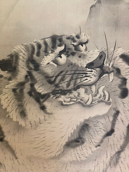 1890–1910 Kakejiku Tiger Beneath a Waterfall (瀑布猛虎図)  Signed 澄◯斎 (Approximately 172X43CM)