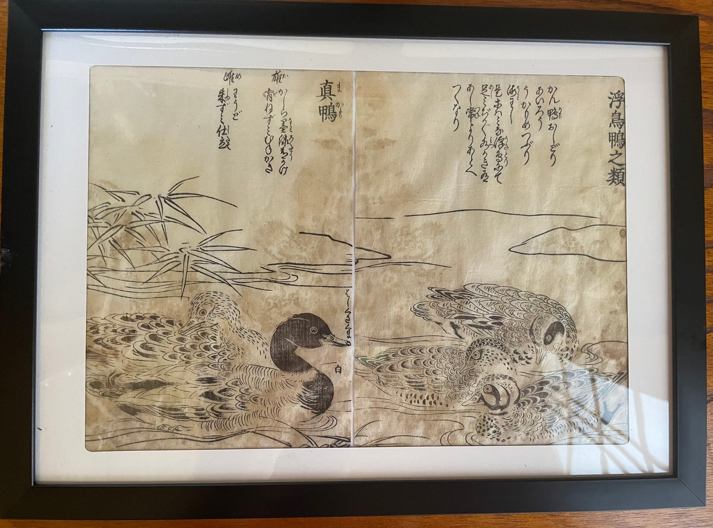 1736–1741 Edo Woodblock by Tachibana Morikuni – Japanese Ducks & Waterfowl – A4 Framed
