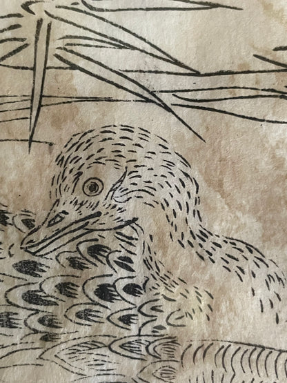 1736–1741 Edo Woodblock by Tachibana Morikuni – Japanese Ducks & Waterfowl – A4 Framed