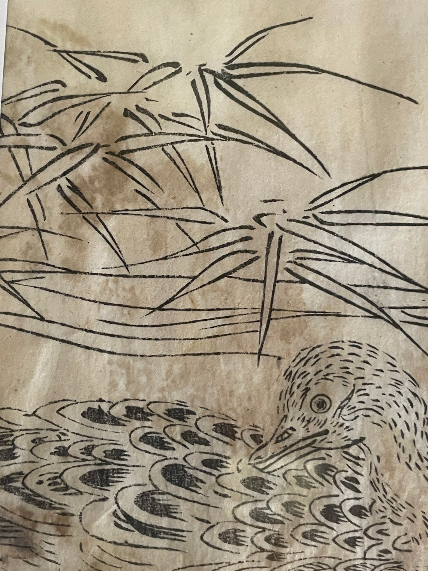 1736–1741 Edo Woodblock by Tachibana Morikuni – Japanese Ducks & Waterfowl – A4 Framed