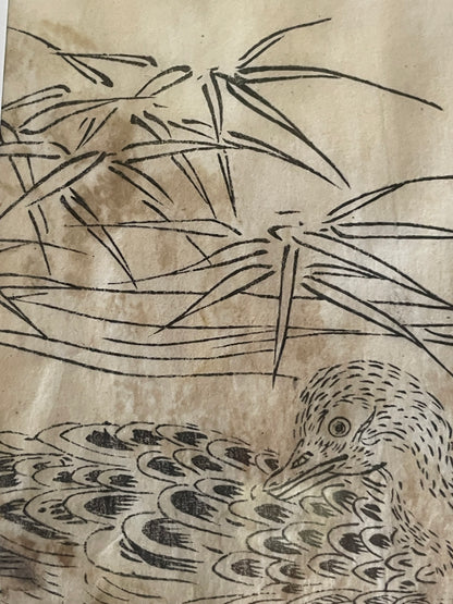 1736–1741 Edo Woodblock by Tachibana Morikuni – Japanese Ducks & Waterfowl – A4 Framed
