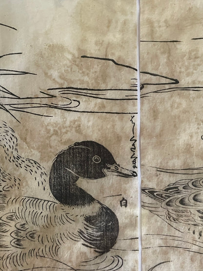 1736–1741 Edo Woodblock by Tachibana Morikuni – Japanese Ducks & Waterfowl – A4 Framed