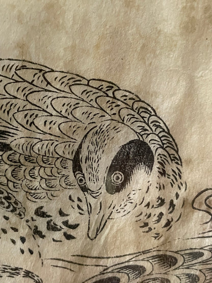 1736–1741 Edo Woodblock by Tachibana Morikuni – Japanese Ducks & Waterfowl – A4 Framed
