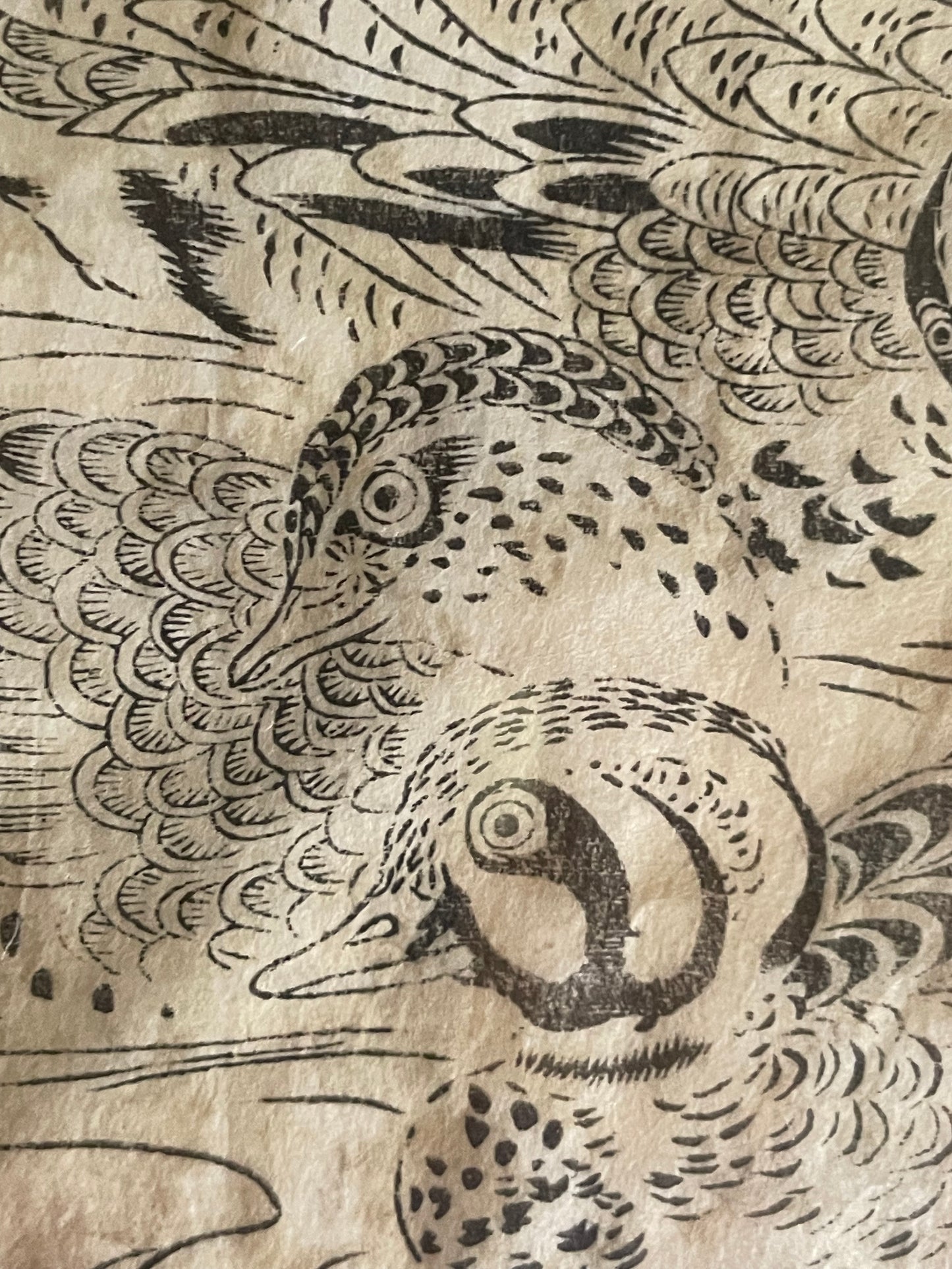 1736–1741 Edo Woodblock by Tachibana Morikuni – Japanese Ducks & Waterfowl – A4 Framed
