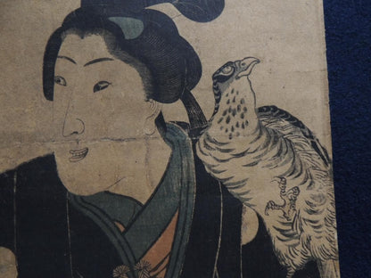 1830 "Youth With Falcon" (若衆と鷹) By Utagawa Kunisada (Approximately 70X25CM)