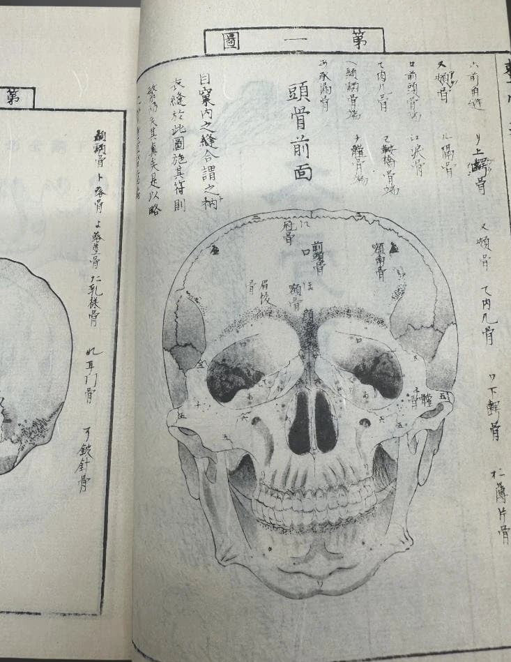 1774 Edo Period Medical Book By Kaitai Shinsho 解体新書. Edo Period Human Skeleton Diagrams