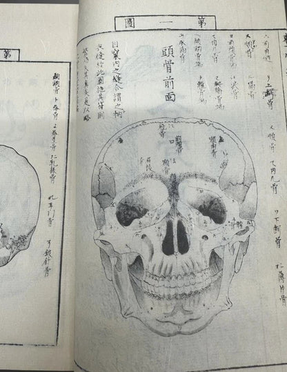 1774 Edo Period Medical Book By Kaitai Shinsho 解体新書. Edo Period Human Skeleton Diagrams