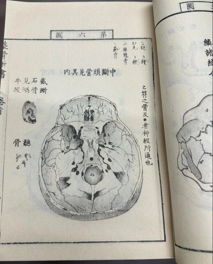 1774 Edo Period Medical Book By Kaitai Shinsho 解体新書. Edo Period Human Skeleton Diagrams