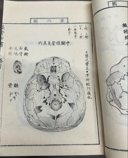 1774 Edo Period Medical Book By Kaitai Shinsho 解体新書. Edo Period Human Skeleton Diagrams