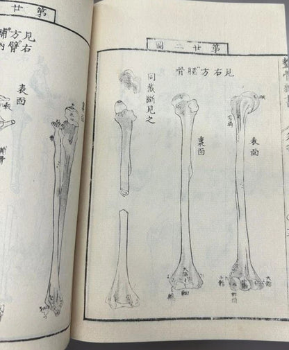 1774 Edo Period Medical Book By Kaitai Shinsho 解体新書. Edo Period Human Skeleton Diagrams