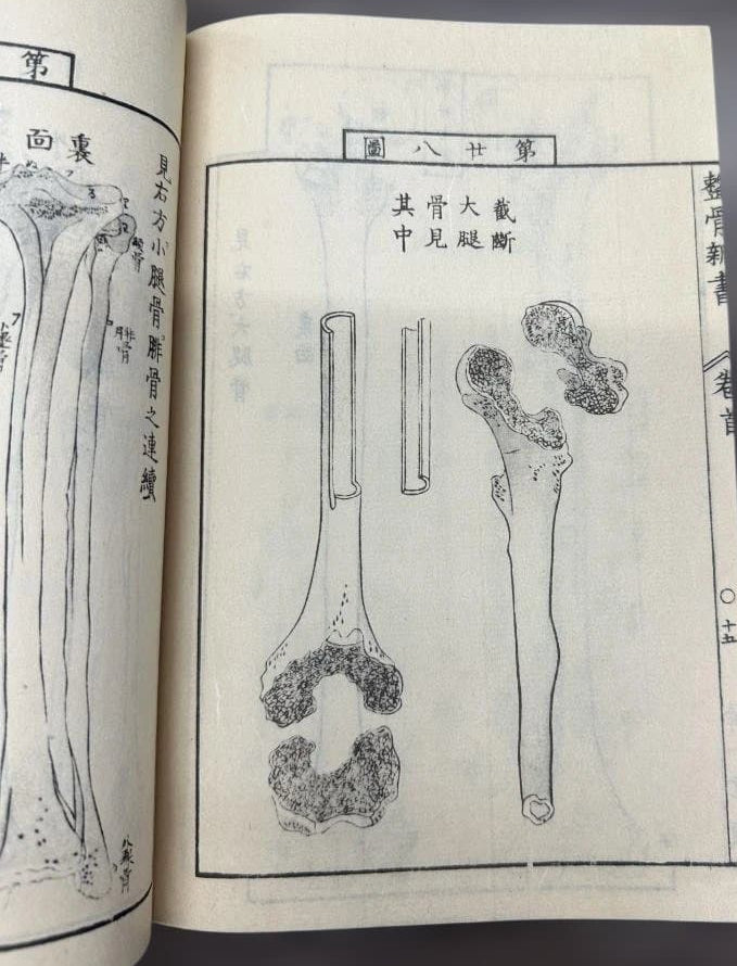 1774 Edo Period Medical Book By Kaitai Shinsho 解体新書. Edo Period Human Skeleton Diagrams