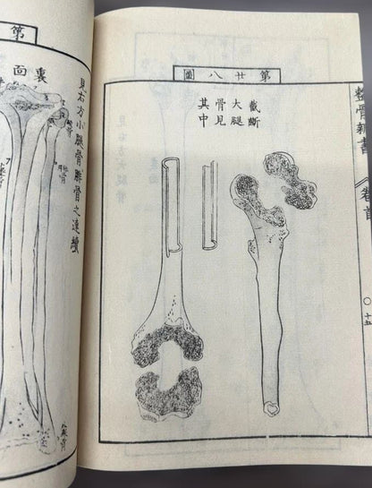 1774 Edo Period Medical Book By Kaitai Shinsho 解体新書. Edo Period Human Skeleton Diagrams