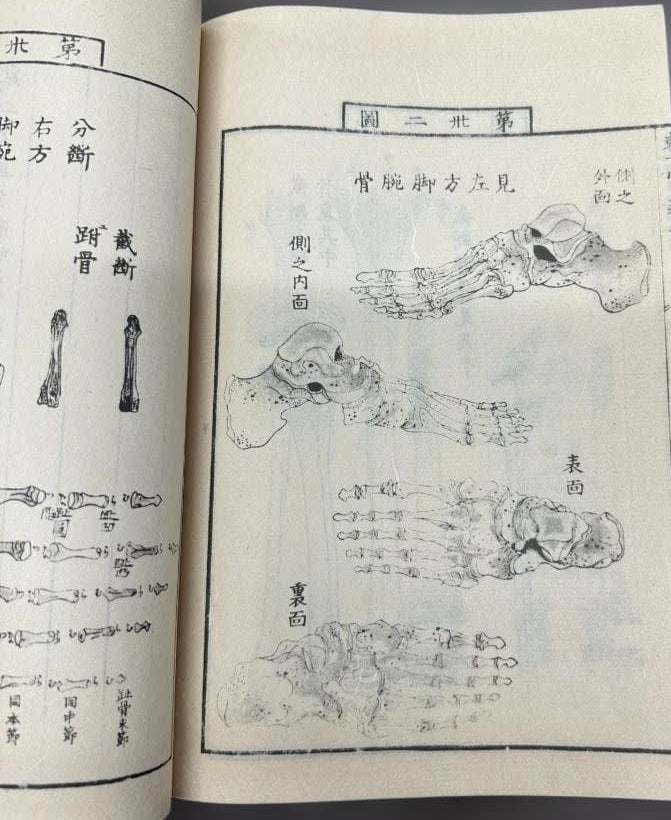 1774 Edo Period Medical Book By Kaitai Shinsho 解体新書. Edo Period Human Skeleton Diagrams