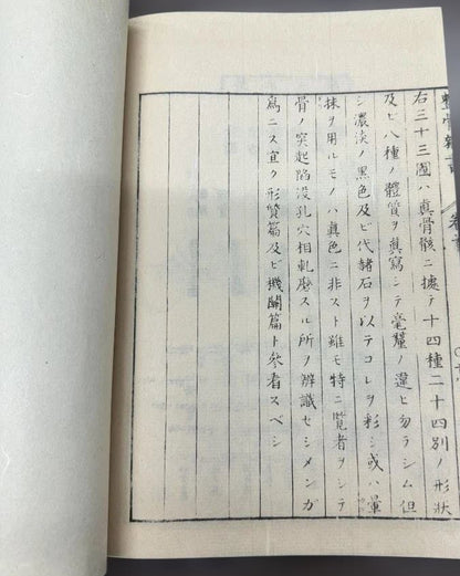 1774 Edo Period Medical Book By Kaitai Shinsho 解体新書. Edo Period Human Skeleton Diagrams