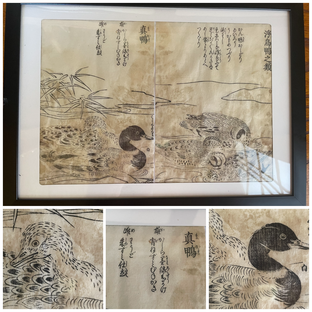 1736–1741 Edo Woodblock by Tachibana Morikuni – Japanese Ducks & Waterfowl – A4 Framed