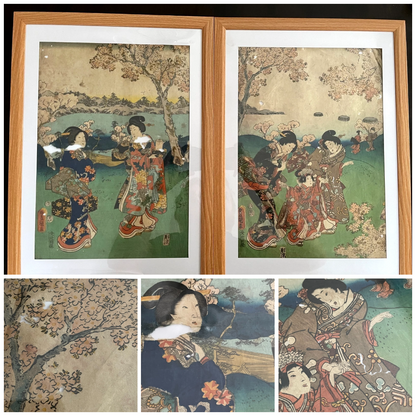 1854 Edo Era Ukiyo-e Set by Utagawa Kunisada. Beauties Admire Sakura in Kyoto. New A3 Preservation Frames